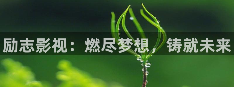 奇米影视777第四色